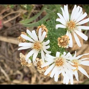 Meet your Posher, Jonnie